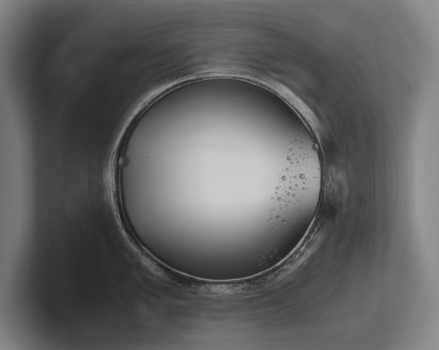 X0000102761005200808181105