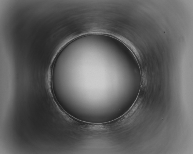 X0000102761006200808181105