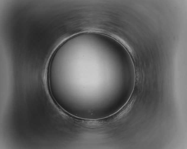 X0000102761007200808181105