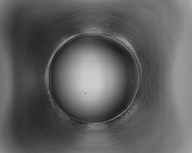 X0000102761008200808181105