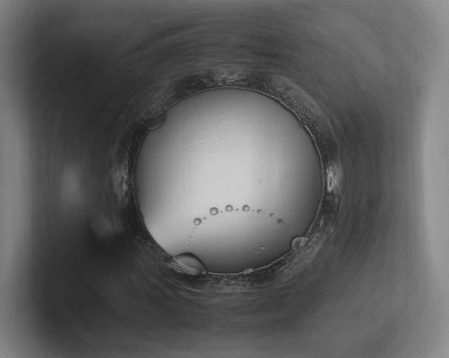 X0000102761011200808181104