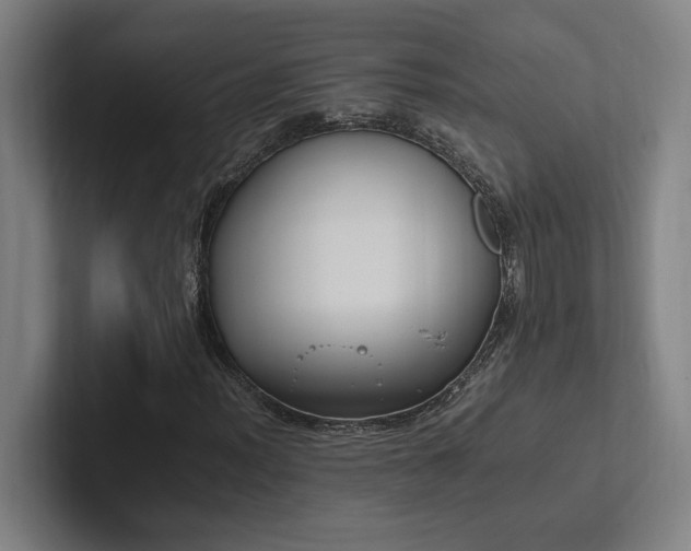 X0000102761012200808181104