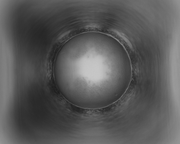 X0000102761015200808181104
