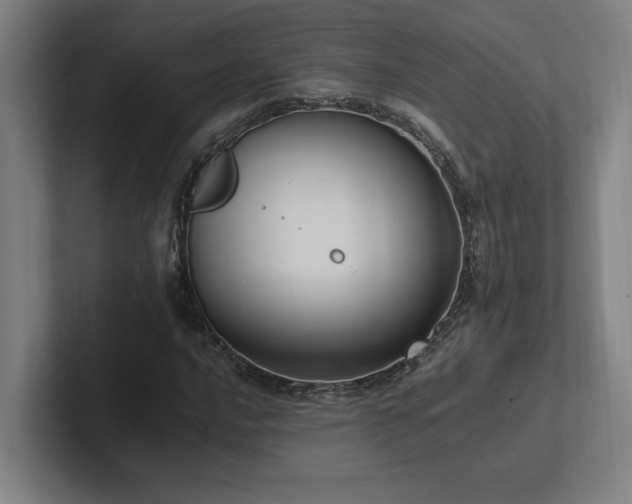 X0000102761016200808181104