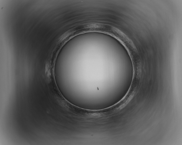 X0000102761017200808181104