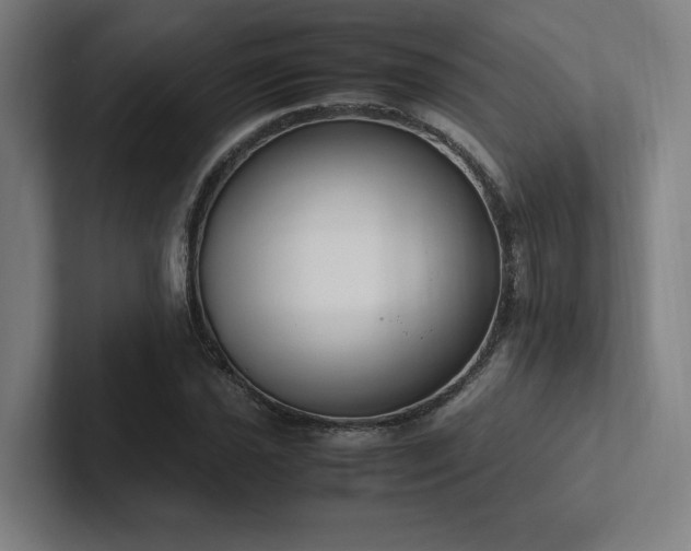 X0000102761021200808181104