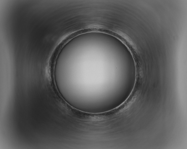 X0000102761022200808181105