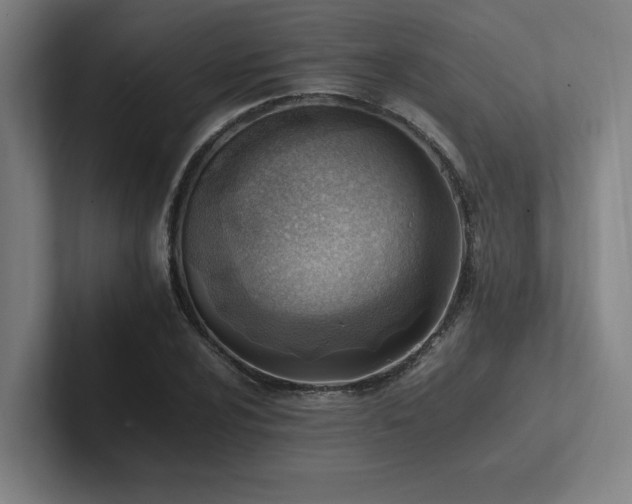 X0000102761024200808181105