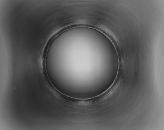 X0000102761029200808181105