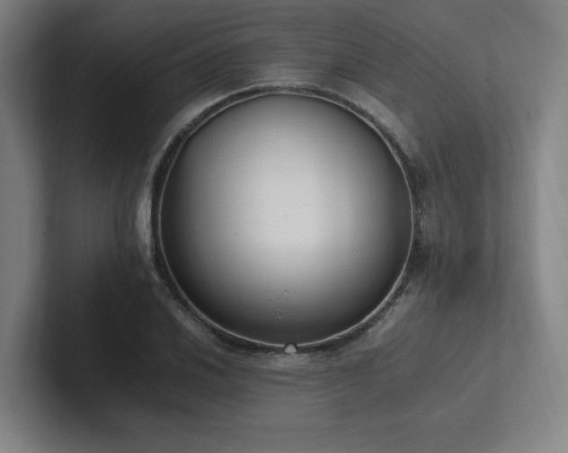 X0000102761030200808181105