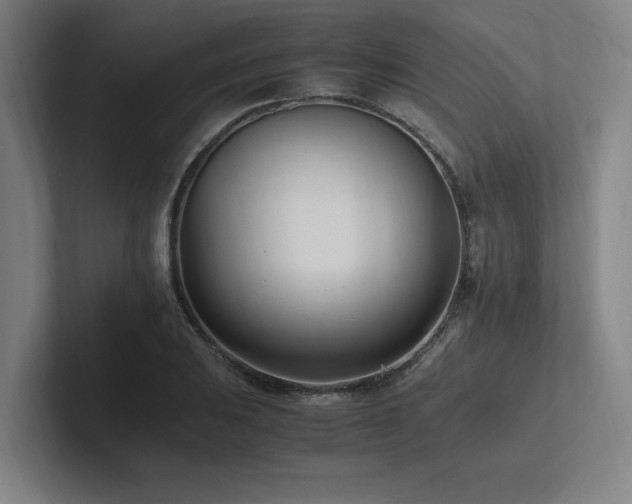 X0000102761031200808181105