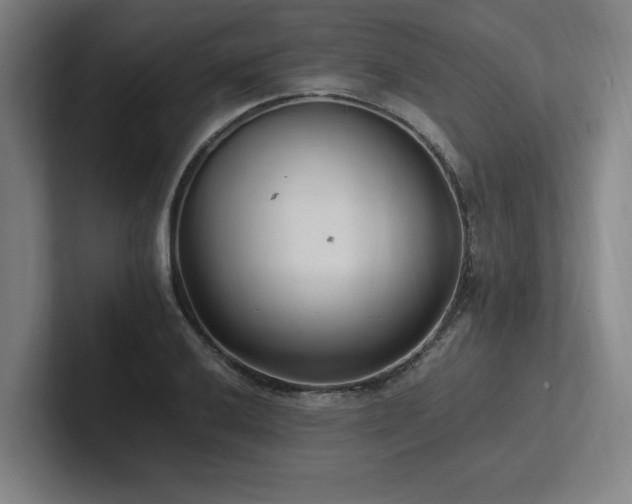 X0000102761032200808181105