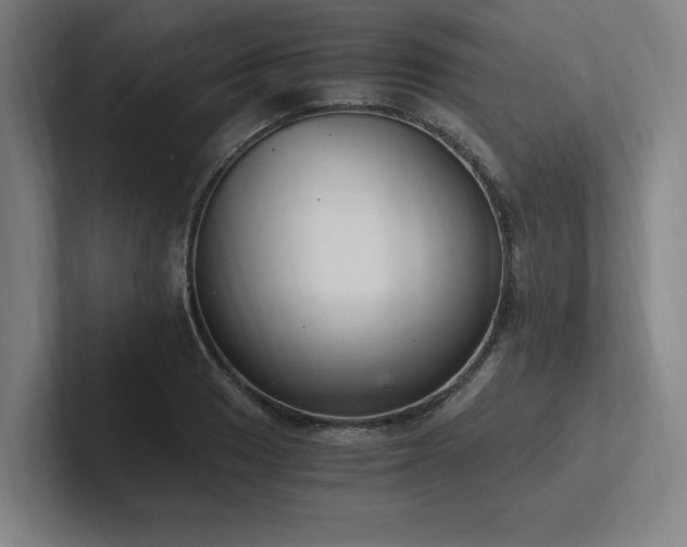 X0000102761033200808181105