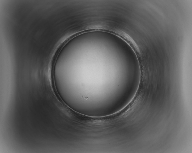 X0000102761035200808181105