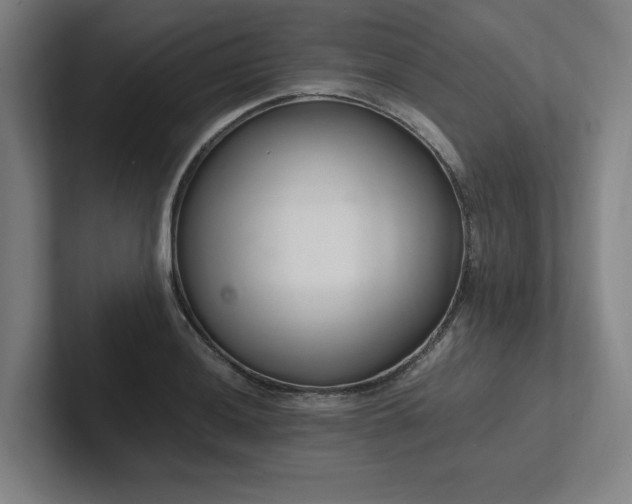 X0000102761036200808181105