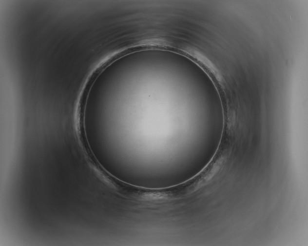 X0000102761037200808181105