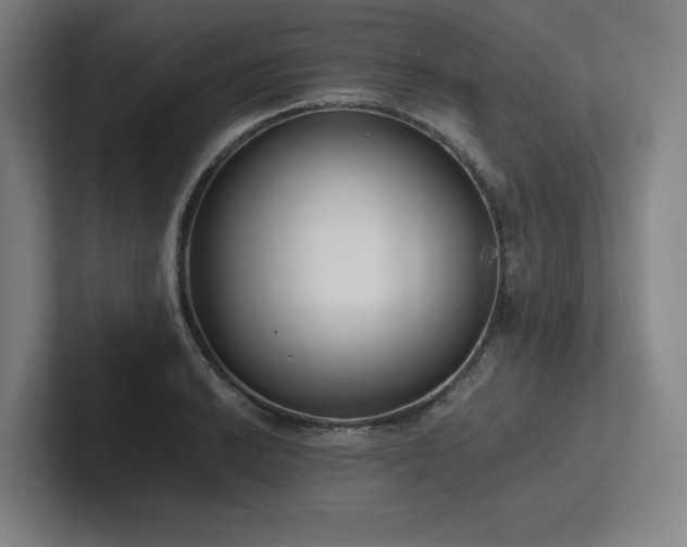 X0000102761038200808181105