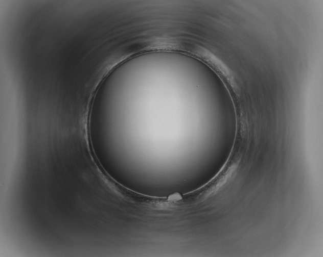X0000102761041200808181105
