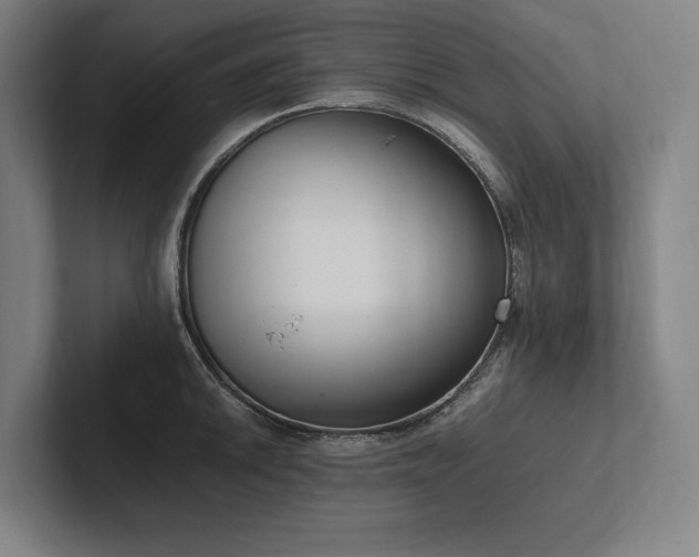 X0000102761046200808181105