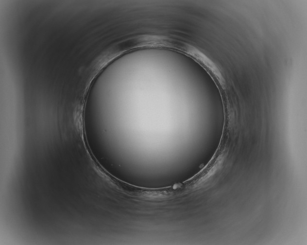 X0000102761049200808181105