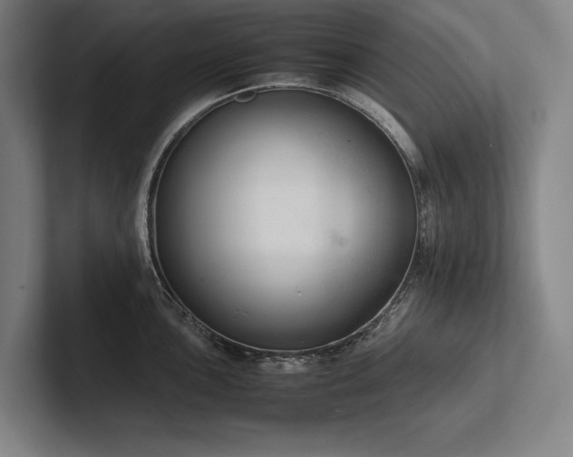 X0000102761051200808181105