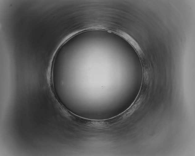 X0000102761052200808181105