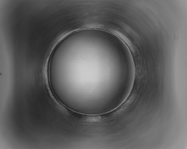 X0000102761055200808181105