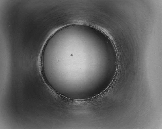 X0000102761056200808181105