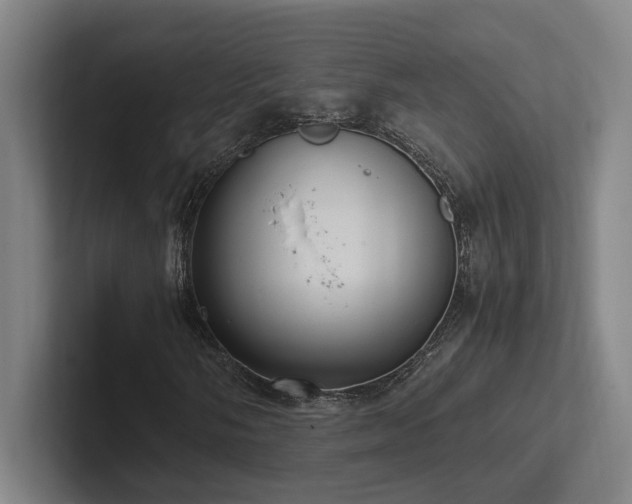 X0000102761058200808181104