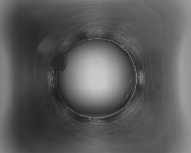 X0000102761059200808181104