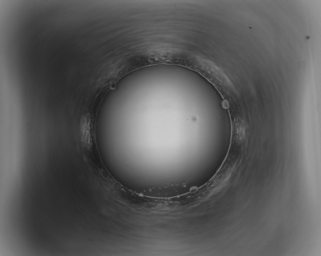 X0000102761060200808181104
