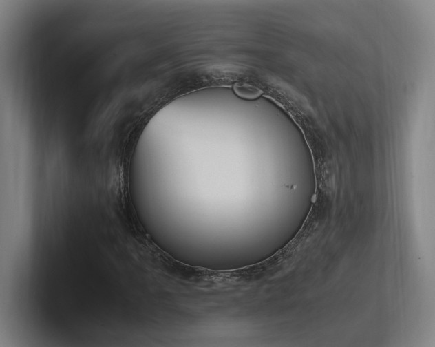 X0000102761061200808181104