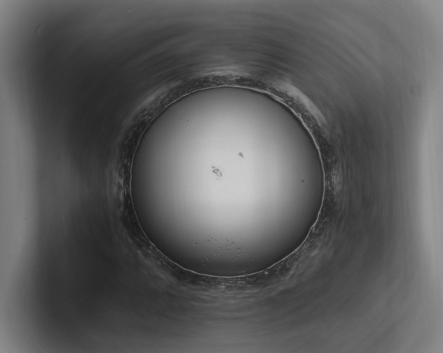 X0000102761064200808181104