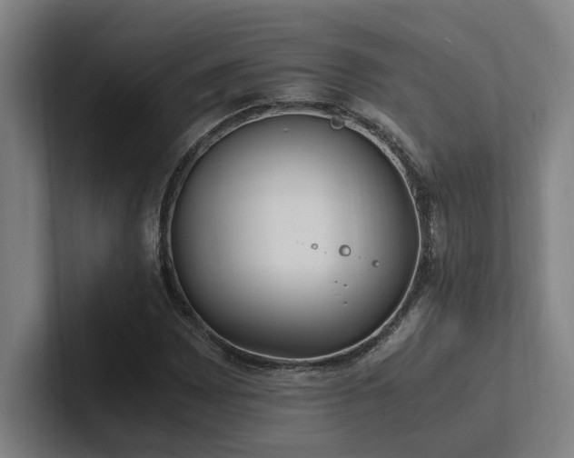 X0000102761065200808181104