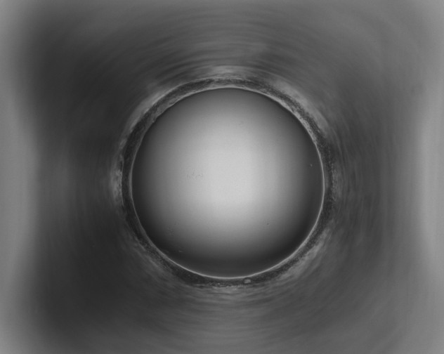 X0000102761066200808181104