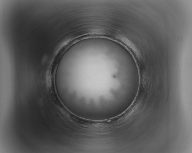 X0000102761067200808181104
