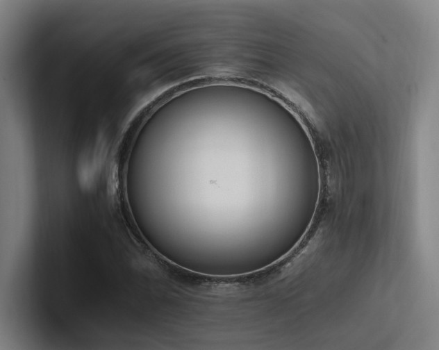 X0000102761070200808181104