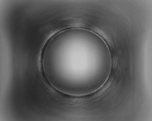 X0000102761071200808181104