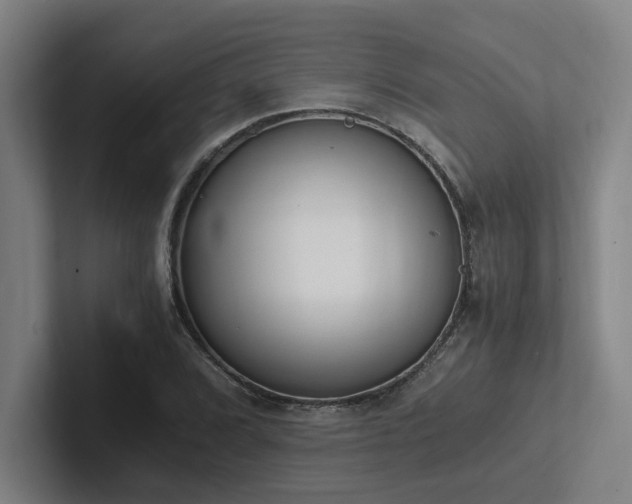 X0000102761072200808181104