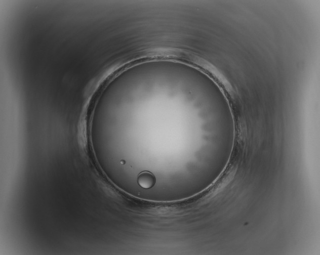 X0000102761075200808181104