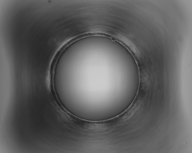 X0000102761076200808181104