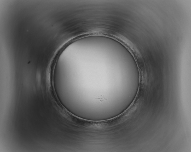 X0000102761078200808181104