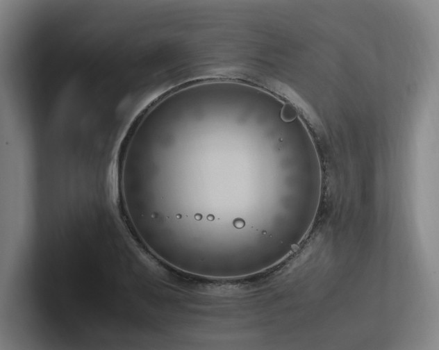 X0000102761079200808181104
