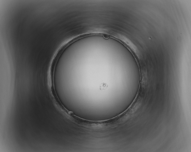 X0000102761080200808181104