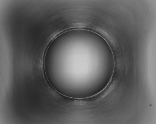 X0000102761081200808181104
