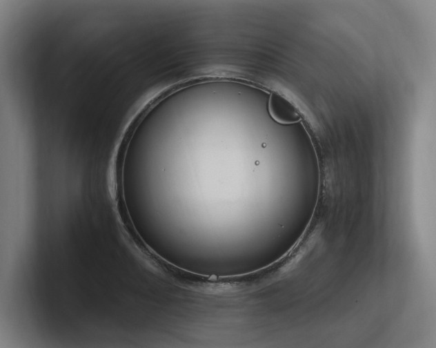 X0000102761082200808181104