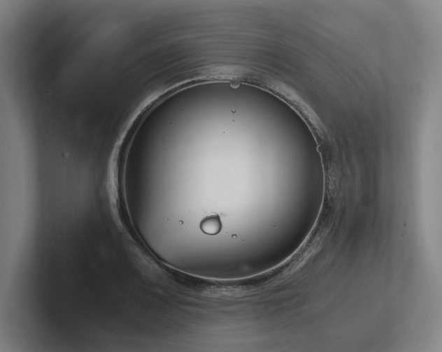 X0000102761083200808181104