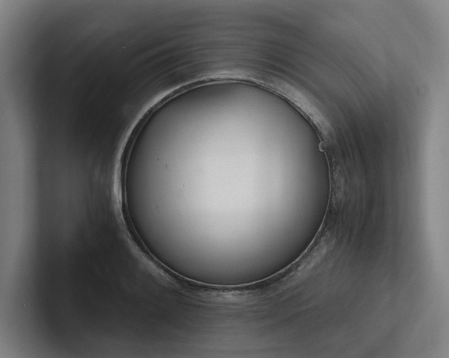 X0000102761084200808181104