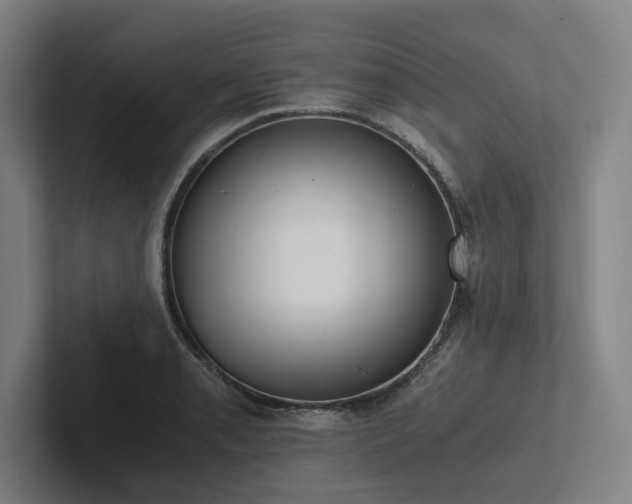 X0000102761085200808181104