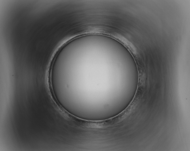 X0000102761086200808181104
